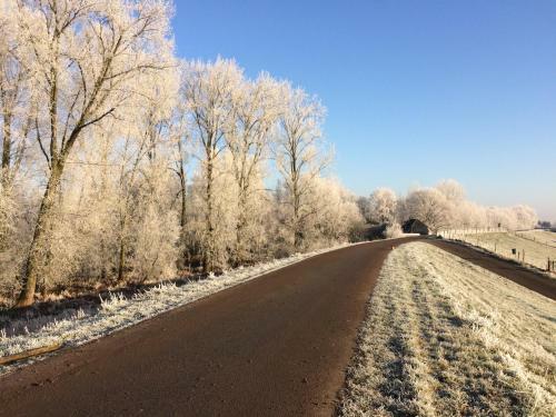Bed & Breakfast Dreumelse Waard