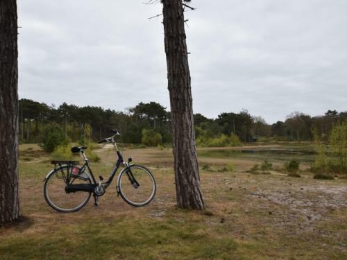 Spacious Holiday Home In Vlieland With Beaches Nearby