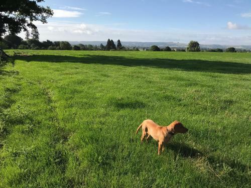 Rew Farm Country & Equestrian Accommodation