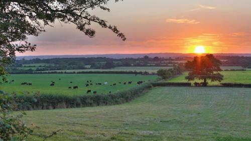 Rew Farm Country & Equestrian Accommodation