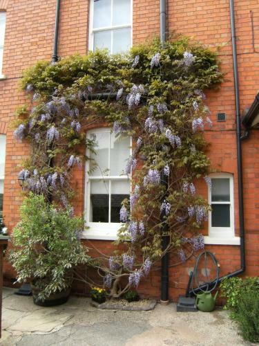 Bridge House Bed & Breakfast
