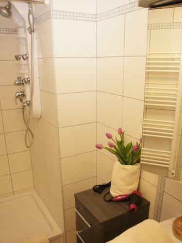 Aparthotel Apartments Mikovec