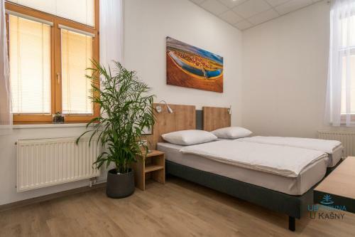 Albergue Ubytovna U Ka?ny