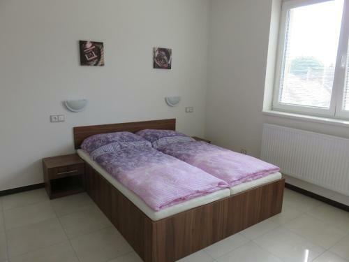 Hostal Penzion U Dul�ka