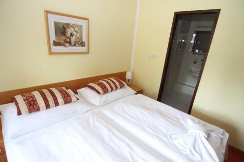 Hotel Z�mek Hav�?ov