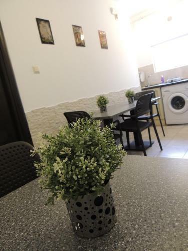 Hostal Vis A Vis Studio