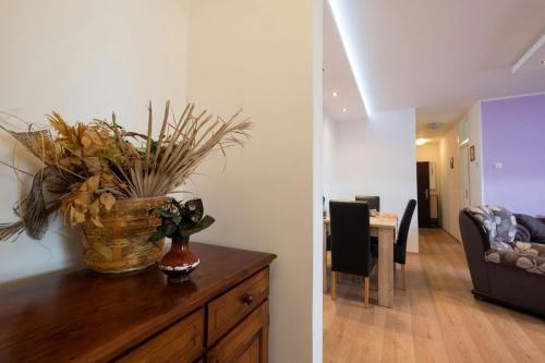 Apartamento Penthouse Sofy 1