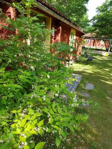 Albergue Tran�s Vandrarhem
