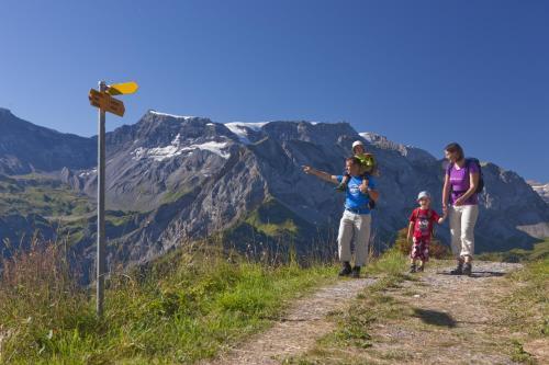 Apartamento Ferienwohnung Chalet Zwirbeli