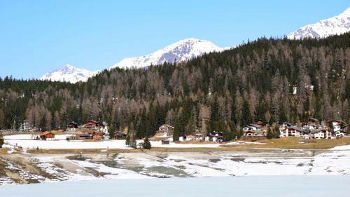 Apartamento Haus Azalea