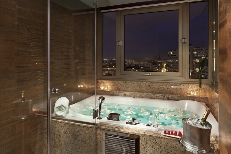 Hotel Meli Madrid Princesa