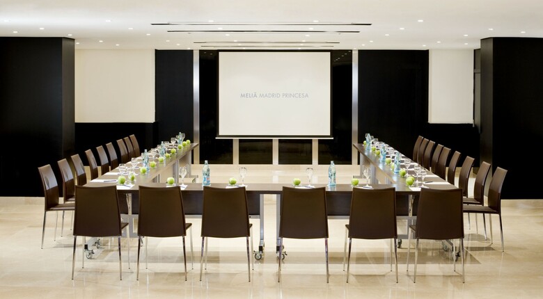 Hotel Meli Madrid Princesa