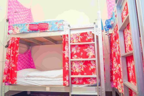 Albergue Small Eye Backpacker