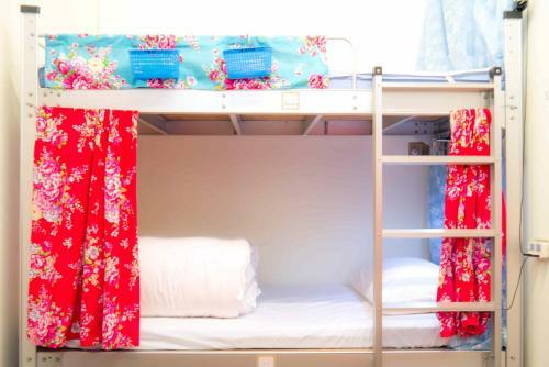 Albergue Small Eye Backpacker
