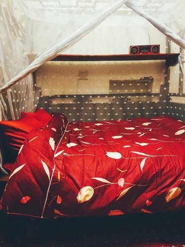 Albergue Small Eye Backpacker