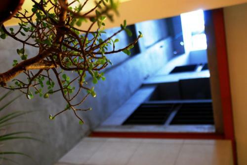 Center.center Hostel