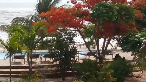 Apartamento The Coco Paradise