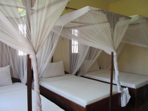 Posada Abuso Inn