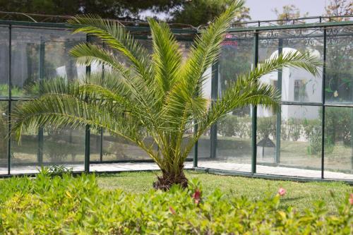 Sandra Club - Family Hotel