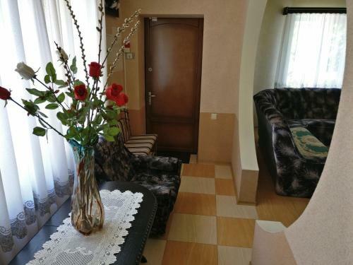 Villa Raduga 514