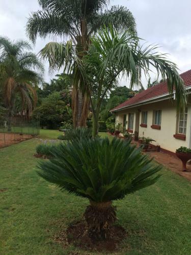 Palm Villa