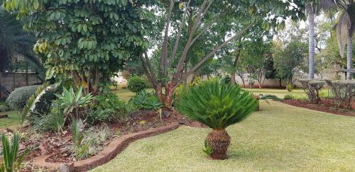 Palm Villa