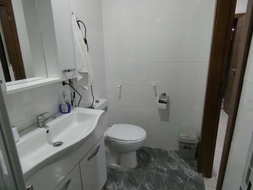 Rooster Hostel