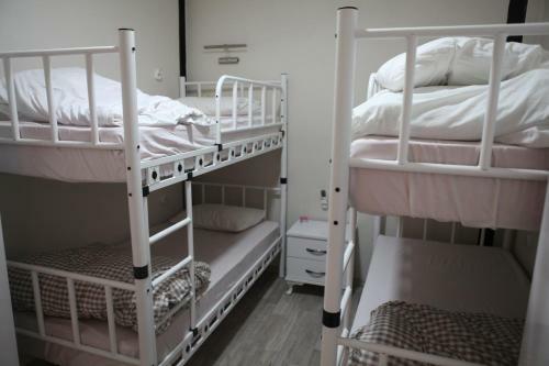 Rooster Hostel
