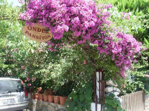Agroturismo Onder Pansiyon