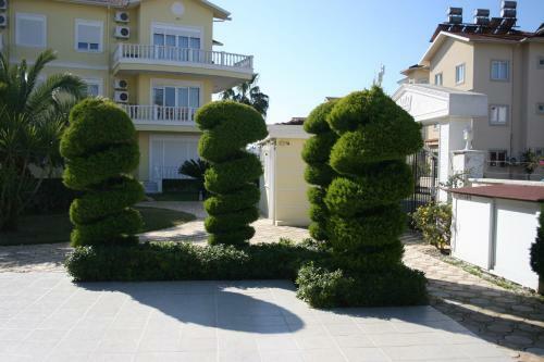 Apartment In Cleodora