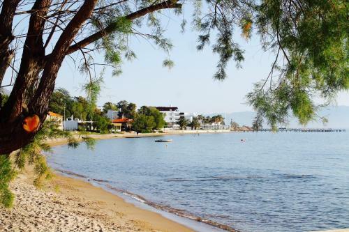 Apartamento My House Bodrum Holiday Village