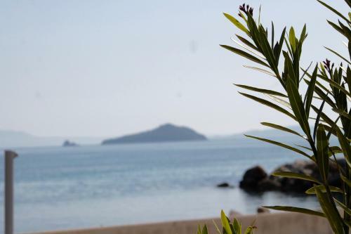Apartamento My House Bodrum Holiday Village