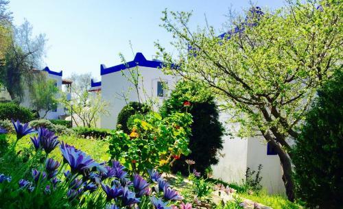 Apartamento My House Bodrum Holiday Village