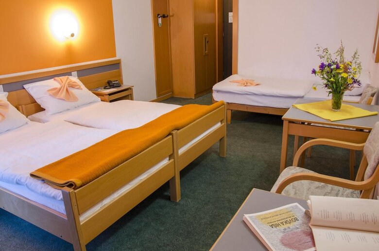 Alp Hotel