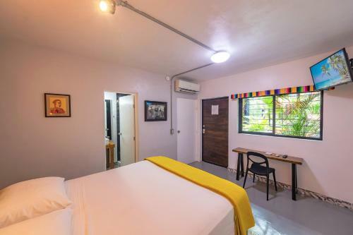 Hostal Pi�ata Pv Gay Hotel