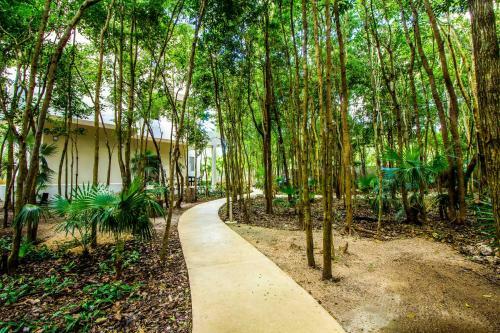 Apartamento Condo Hotel El Vivero Tulum