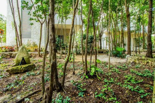 Apartamento Condo Hotel El Vivero Tulum