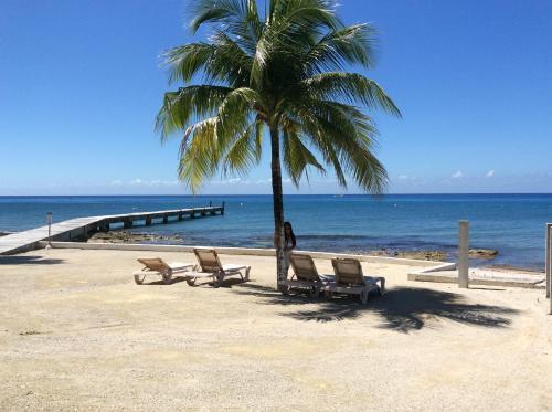Cozumel Beach House - Villa Debra