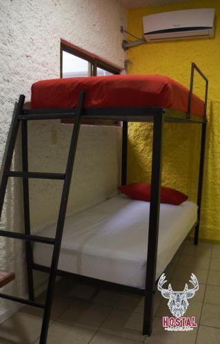 Albergue Hostal Mazatlan