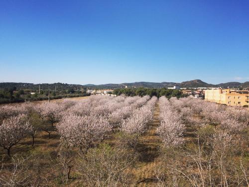 Apartamento Camping La Plana