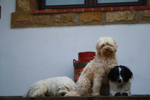 Agroturismo El Terrero