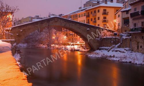 Apartamentos Amaiur