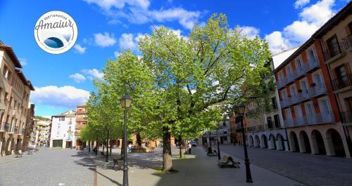 Apartamentos Amaiur