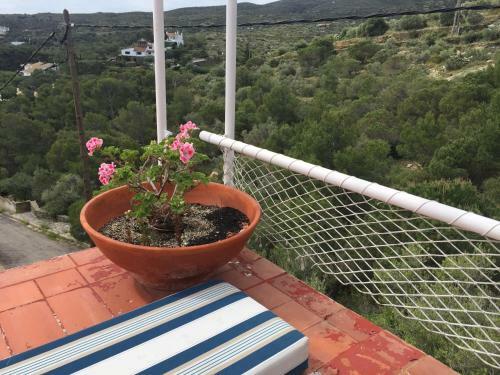 Apartamento Casa Del Pi