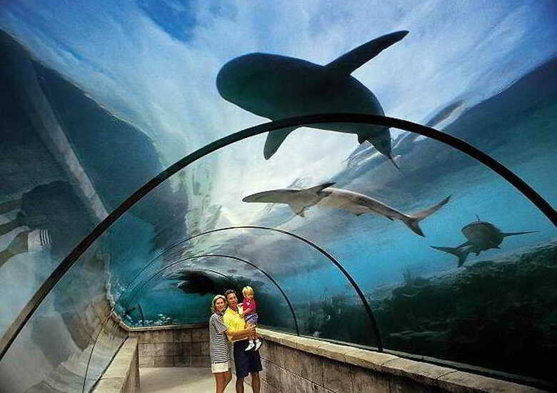 Hotel Atlantis Coral Tower