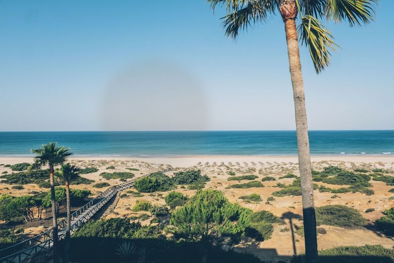 Hotel Iberostar Waves Royal Andalus