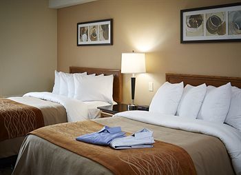 Hotel Comfort Inn Thetford Mines
