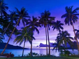 Hotel Qamea Resort  Spa