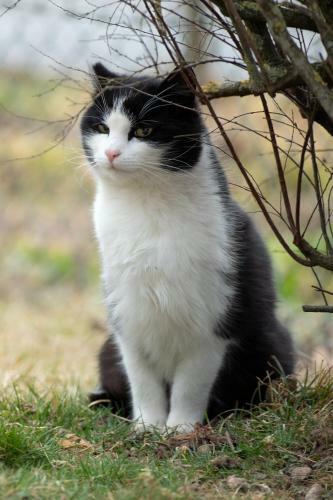 Apartamento Ferienwohnungen Bauernhof Schilcher