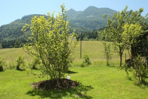 Bed & Breakfast Landlust Ischl